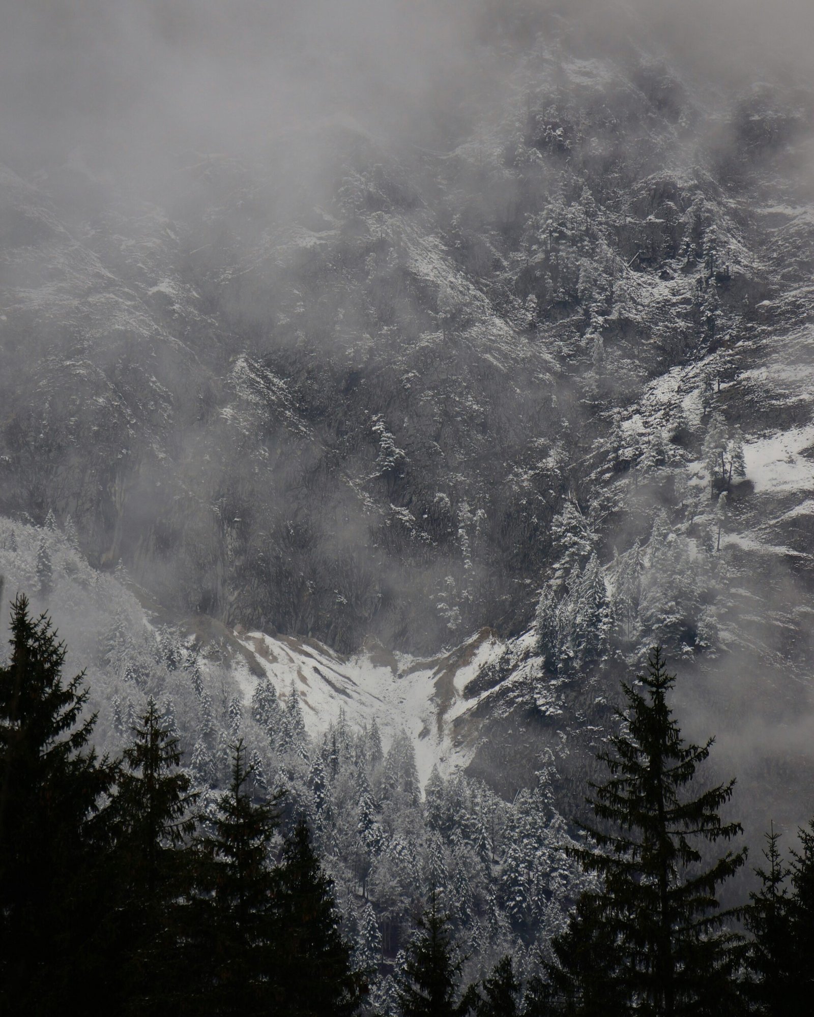 a mountain covered in snow surrounded by trees